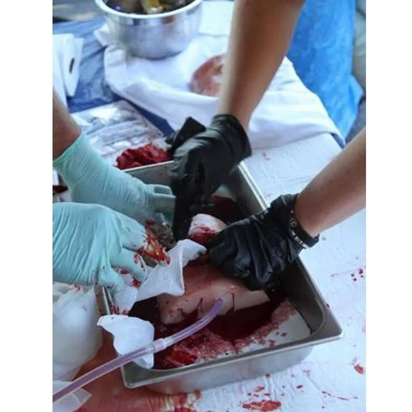 Bleeding Control Instructor's Kit w/GSW and LAC Trainer - Image 4