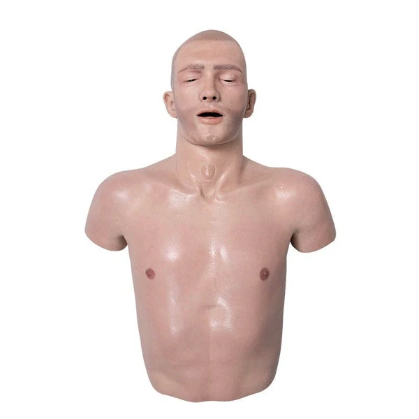 EMS Torso Trainer - Image 2