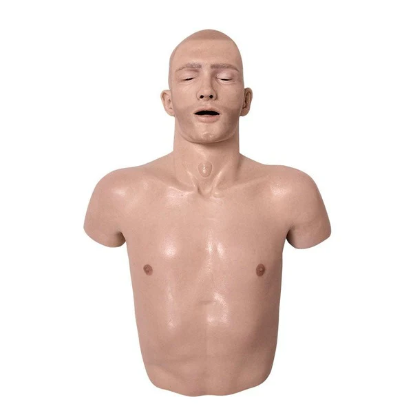 EMS Torso Trainer - Image 4