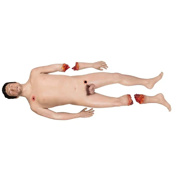 SIMBODIES PRO Male Manikin - Image 6