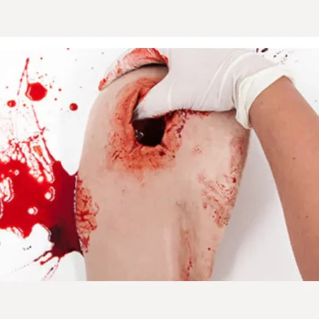Simbodies Shoulder Wound Packing Trainer - Image 3
