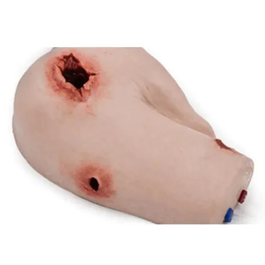 Simbodies Shoulder Wound Packing Trainer - Image 4