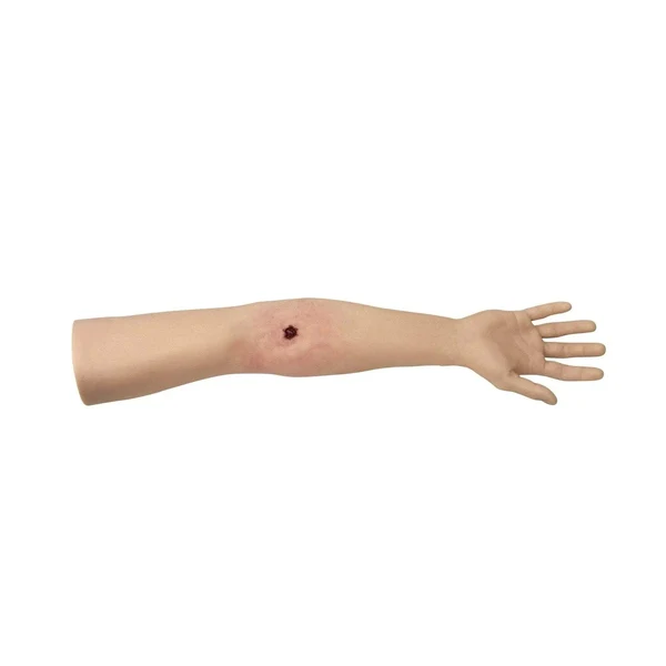 Tourniquet Arm Trainer - Image 3
