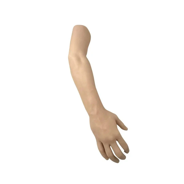 Tourniquet Arm Trainer - Image 4