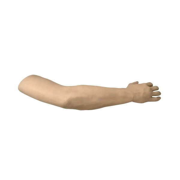 Tourniquet Arm Trainer - Image 6