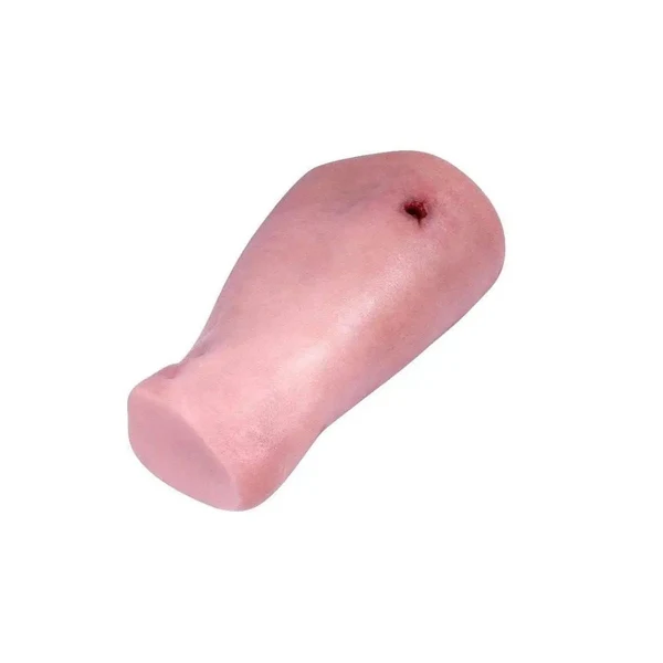 Wound Management Leg Trainer - Image 4