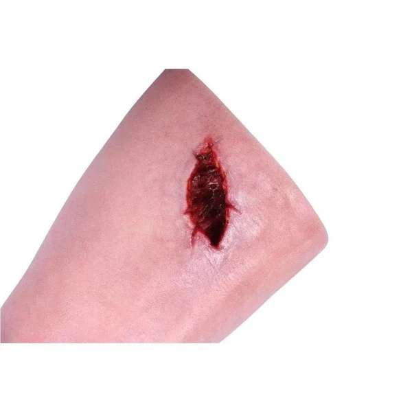 Wound Management Leg Trainer - Image 5